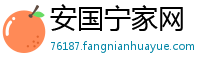 安国宁家网
